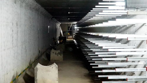 打造城市“生命線”，東海岸新城綜合管廊全面啟動機電設備安裝